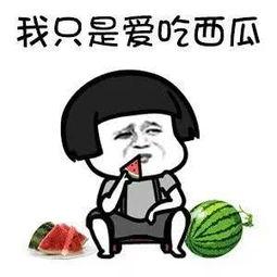 娱乐圈的瓜在哪吃